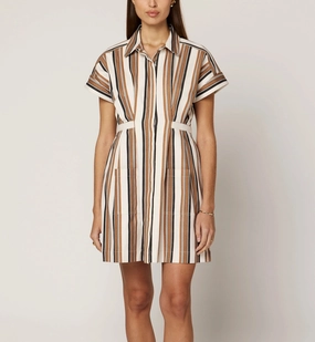 Sable Mini Dress | Giatta Stripe Vibrant pattern