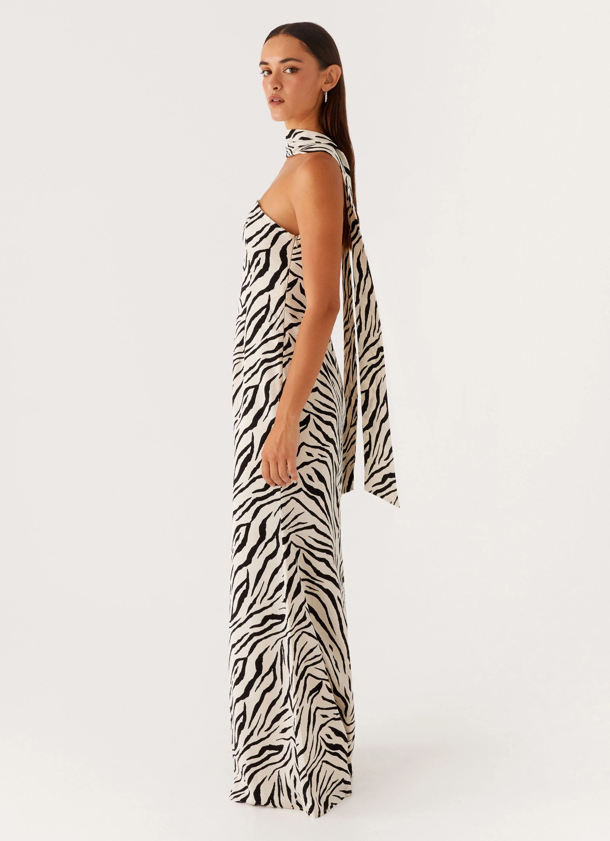 Jigsaw Strapless Maxi Dress - Zebra Outdoor Vibe Family Joy