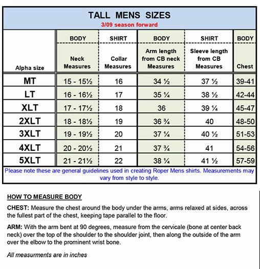 Business Meeting Minimalist Closure Roper Mens Stretch Poplin Turquoise Cotton Blend Tall L/S Shirt